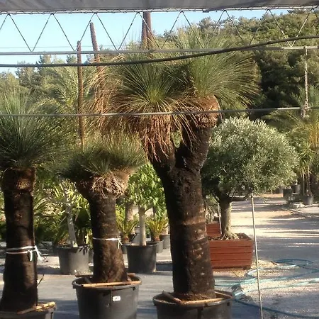 فندق Two 3*