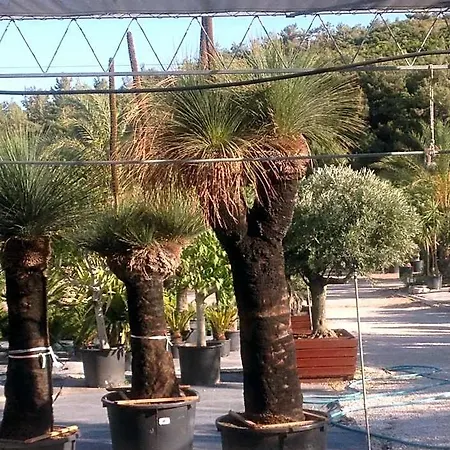 Two Hotel Yağcılar